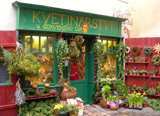 цветочный с автоматизацией